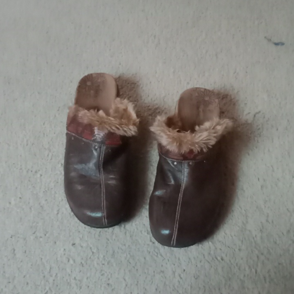 Taos mules